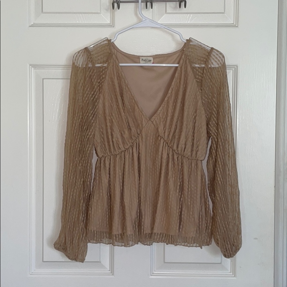 Sheer Blouse